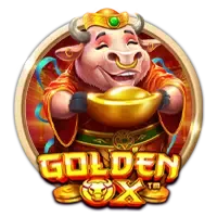 pp image